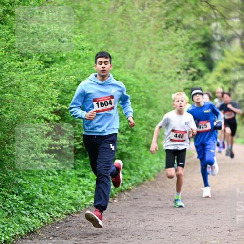 19.04.2026 - Hammer Lauf Dr. Thomas Lammeyer http://msf.ph/oto/9526607 19.04.2026 09:24:01 Laufen 1604, 448, 925 meine-sportfotos.de