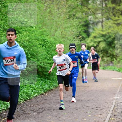 19.04.2026 - Hammer Lauf Dr. Thomas Lammeyer http://msf.ph/oto/9526609 19.04.2026 09:24:02 Laufen 1604, 448 meine-sportfotos.de