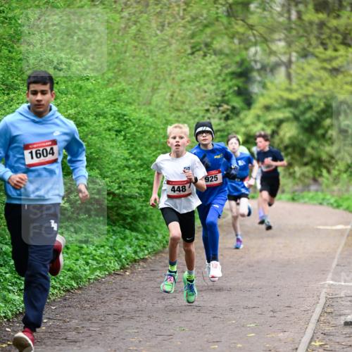 19.04.2026 - Hammer Lauf Dr. Thomas Lammeyer http://msf.ph/oto/9526610 19.04.2026 09:24:02 Laufen 1604, 448, 925 meine-sportfotos.de