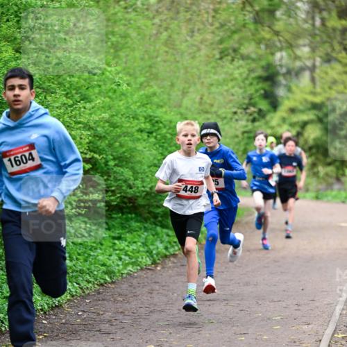 19.04.2026 - Hammer Lauf Dr. Thomas Lammeyer http://msf.ph/oto/9526616 19.04.2026 09:24:02 Laufen 1604, 448 meine-sportfotos.de