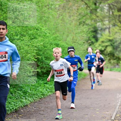 19.04.2026 - Hammer Lauf Dr. Thomas Lammeyer http://msf.ph/oto/9526622 19.04.2026 09:24:02 Laufen 504, 448 meine-sportfotos.de