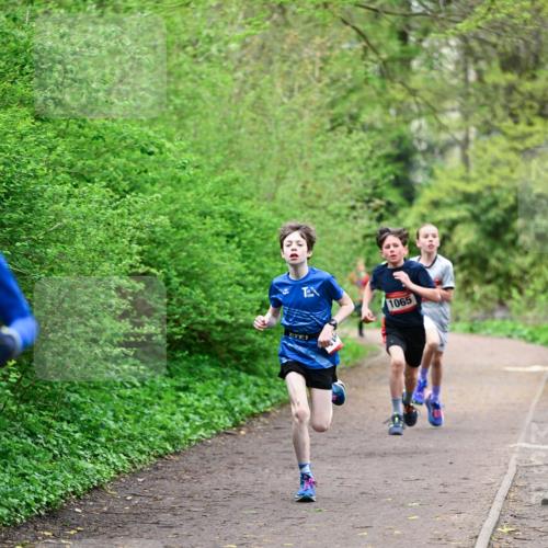 19.04.2026 - Hammer Lauf Dr. Thomas Lammeyer http://msf.ph/oto/9526639 19.04.2026 09:24:04 Laufen 1065 meine-sportfotos.de