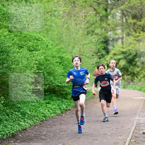 19.04.2026 - Hammer Lauf Dr. Thomas Lammeyer http://msf.ph/oto/9526640 19.04.2026 09:24:05 Laufen 1065 meine-sportfotos.de