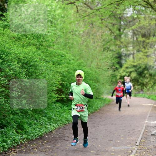 19.04.2026 - Hammer Lauf Dr. Thomas Lammeyer http://msf.ph/oto/9526676 19.04.2026 09:24:09 Laufen 393 meine-sportfotos.de