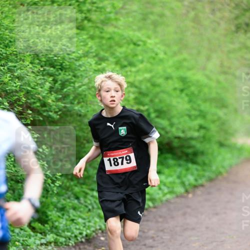 19.04.2026 - Hammer Lauf Dr. Thomas Lammeyer http://msf.ph/oto/9526728 19.04.2026 09:24:16 Laufen 1879 meine-sportfotos.de