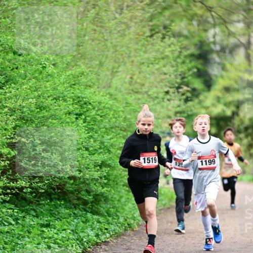 19.04.2026 - Hammer Lauf Dr. Thomas Lammeyer http://msf.ph/oto/9526785 19.04.2026 09:24:26 Laufen 1519, 1199 meine-sportfotos.de