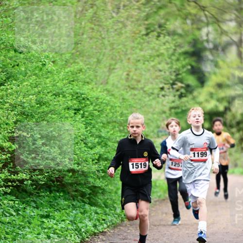 19.04.2026 - Hammer Lauf Dr. Thomas Lammeyer http://msf.ph/oto/9526786 19.04.2026 09:24:26 Laufen 1519, 1257, 1199 meine-sportfotos.de
