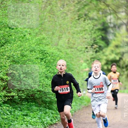 19.04.2026 - Hammer Lauf Dr. Thomas Lammeyer http://msf.ph/oto/9526792 19.04.2026 09:24:27 Laufen 1519, 1199 meine-sportfotos.de