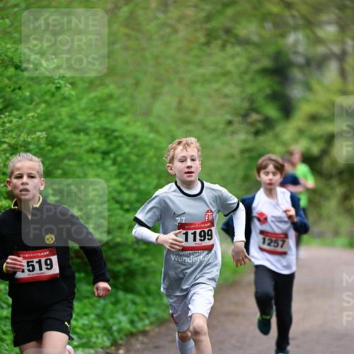 19.04.2026 - Hammer Lauf Dr. Thomas Lammeyer http://msf.ph/oto/9526801 19.04.2026 09:24:28 Laufen 519, 1199, 1257 meine-sportfotos.de