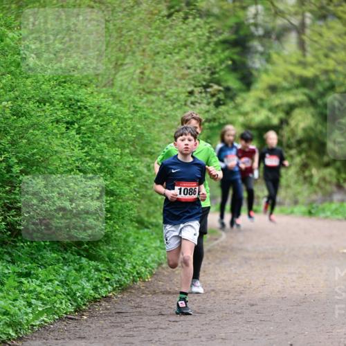 19.04.2026 - Hammer Lauf Dr. Thomas Lammeyer http://msf.ph/oto/9526832 19.04.2026 09:24:33 Laufen 1086 meine-sportfotos.de