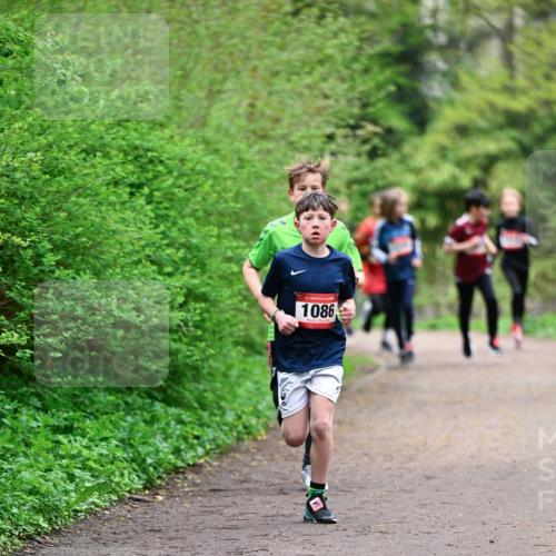 19.04.2026 - Hammer Lauf Dr. Thomas Lammeyer http://msf.ph/oto/9526839 19.04.2026 09:24:34 Laufen 1086 meine-sportfotos.de