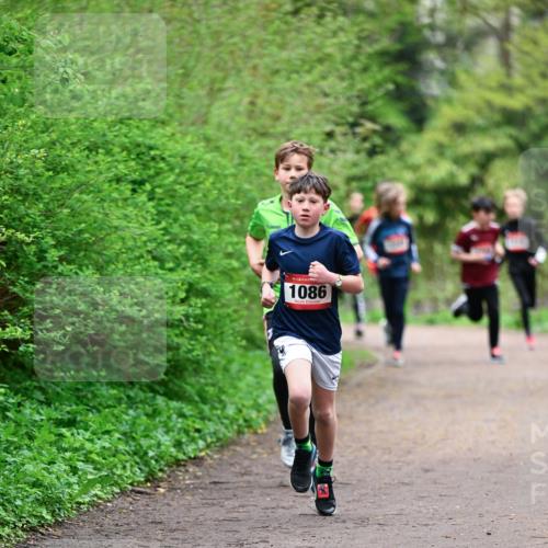 19.04.2026 - Hammer Lauf Dr. Thomas Lammeyer http://msf.ph/oto/9526842 19.04.2026 09:24:34 Laufen 1086 meine-sportfotos.de