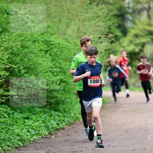 19.04.2026 - Hammer Lauf Dr. Thomas Lammeyer http://msf.ph/oto/9526845 19.04.2026 09:24:34 Laufen 1086 meine-sportfotos.de
