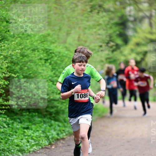 19.04.2026 - Hammer Lauf Dr. Thomas Lammeyer http://msf.ph/oto/9526854 19.04.2026 09:24:35 Laufen 1086 meine-sportfotos.de