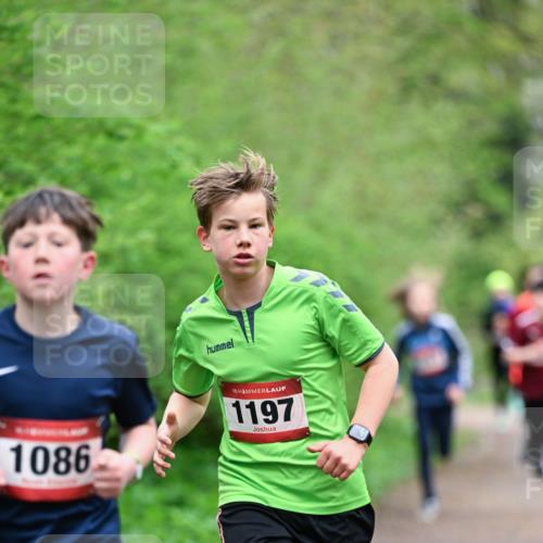 19.04.2026 - Hammer Lauf Dr. Thomas Lammeyer http://msf.ph/oto/9526865 19.04.2026 09:24:37 Laufen 1086, 1197 meine-sportfotos.de