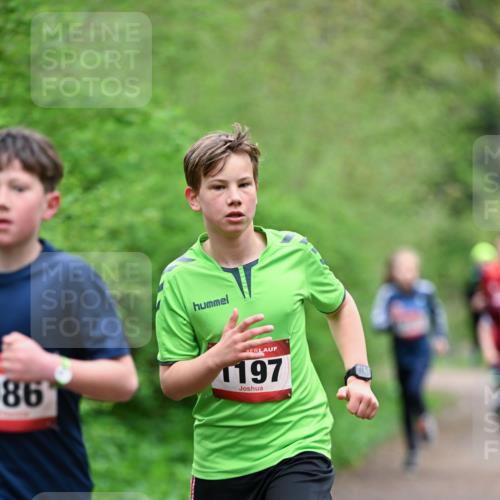19.04.2026 - Hammer Lauf Dr. Thomas Lammeyer http://msf.ph/oto/9526867 19.04.2026 09:24:37 Laufen 197 meine-sportfotos.de