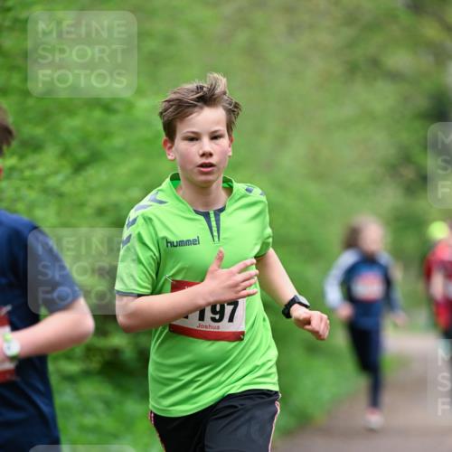 19.04.2026 - Hammer Lauf Dr. Thomas Lammeyer http://msf.ph/oto/9526868 19.04.2026 09:24:37 Laufen 197 meine-sportfotos.de