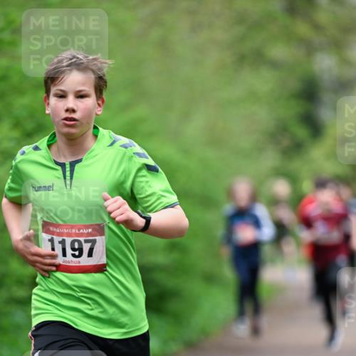 19.04.2026 - Hammer Lauf Dr. Thomas Lammeyer http://msf.ph/oto/9526869 19.04.2026 09:24:38 Laufen 1197 meine-sportfotos.de