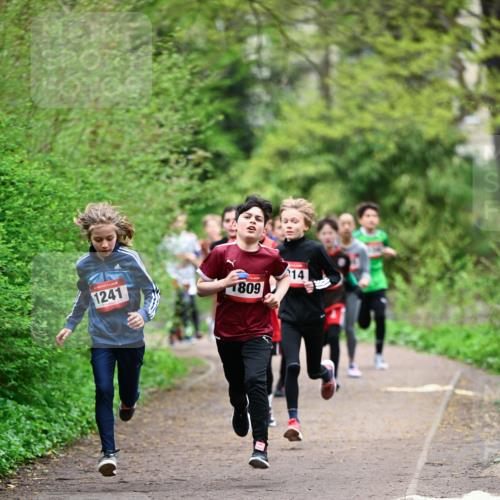 19.04.2026 - Hammer Lauf Dr. Thomas Lammeyer http://msf.ph/oto/9526876 19.04.2026 09:24:38 Laufen 1241, 1809 meine-sportfotos.de