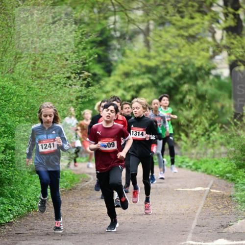19.04.2026 - Hammer Lauf Dr. Thomas Lammeyer http://msf.ph/oto/9526878 19.04.2026 09:24:38 Laufen 1241, 1314 meine-sportfotos.de