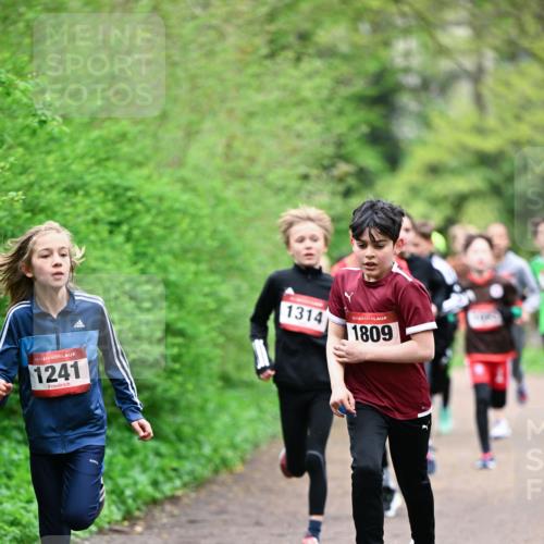 19.04.2026 - Hammer Lauf Dr. Thomas Lammeyer http://msf.ph/oto/9526895 19.04.2026 09:24:40 Laufen 1241, 1314, 1809 meine-sportfotos.de