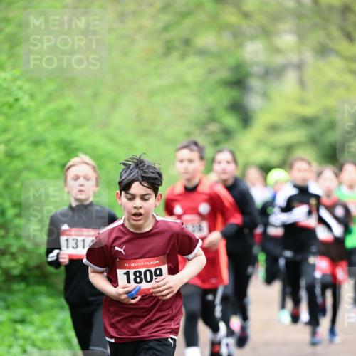 19.04.2026 - Hammer Lauf Dr. Thomas Lammeyer http://msf.ph/oto/9526899 19.04.2026 09:24:41 Laufen 1314, 1809 meine-sportfotos.de