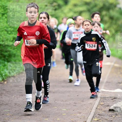 19.04.2026 - Hammer Lauf Dr. Thomas Lammeyer http://msf.ph/oto/9526902 19.04.2026 09:24:42 Laufen 1524 meine-sportfotos.de