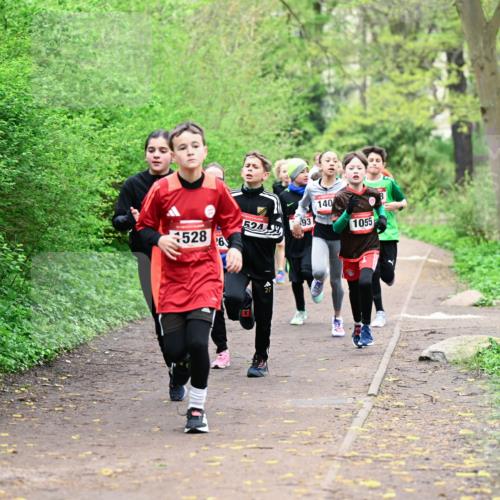 19.04.2026 - Hammer Lauf Dr. Thomas Lammeyer http://msf.ph/oto/9526907 19.04.2026 09:24:43 Laufen 140, 524, 528, 1055 meine-sportfotos.de