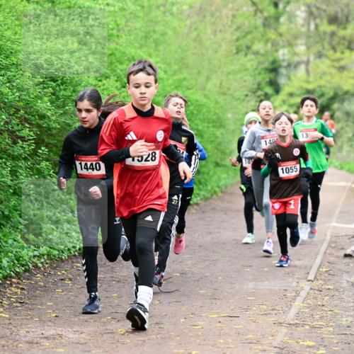 19.04.2026 - Hammer Lauf Dr. Thomas Lammeyer http://msf.ph/oto/9526915 19.04.2026 09:24:44 Laufen 1440, 528, 140, 1055 meine-sportfotos.de