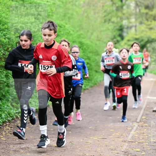 19.04.2026 - Hammer Lauf Dr. Thomas Lammeyer http://msf.ph/oto/9526918 19.04.2026 09:24:44 Laufen 144, 1529, 1405, 1055 meine-sportfotos.de