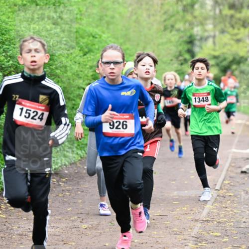19.04.2026 - Hammer Lauf Dr. Thomas Lammeyer http://msf.ph/oto/9526936 19.04.2026 09:24:45 Laufen 1524, 926, 1348 meine-sportfotos.de