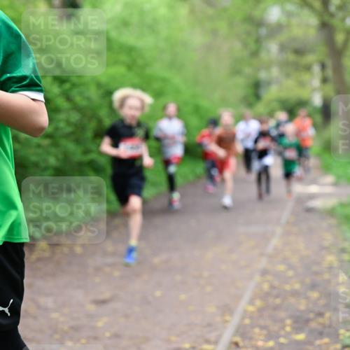 19.04.2026 - Hammer Lauf Dr. Thomas Lammeyer http://msf.ph/oto/9526942 19.04.2026 09:24:48 Laufen  meine-sportfotos.de