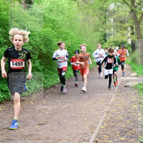 19.04.2026 - Hammer Lauf Dr. Thomas Lammeyer http://msf.ph/oto/9526951 19.04.2026 09:24:49 Laufen 1455, 153 meine-sportfotos.de