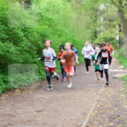 19.04.2026 - Hammer Lauf Dr. Thomas Lammeyer http://msf.ph/oto/9526955 19.04.2026 09:24:49 Laufen 455 meine-sportfotos.de