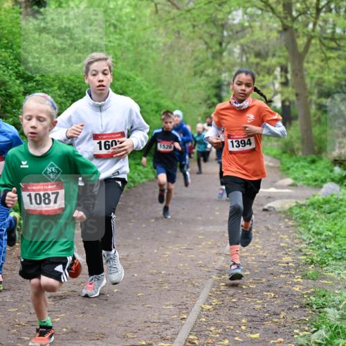 19.04.2026 - Hammer Lauf Dr. Thomas Lammeyer http://msf.ph/oto/9526980 19.04.2026 09:24:52 Laufen 875, 1087, 160, 1526, 1394 meine-sportfotos.de