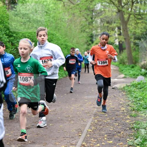 19.04.2026 - Hammer Lauf Dr. Thomas Lammeyer http://msf.ph/oto/9526981 19.04.2026 09:24:52 Laufen 532, 1087, 1633, 1526, 1394 meine-sportfotos.de