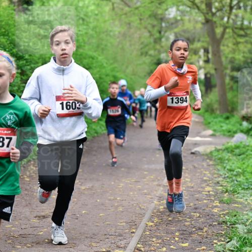 19.04.2026 - Hammer Lauf Dr. Thomas Lammeyer http://msf.ph/oto/9526986 19.04.2026 09:24:52 Laufen 875, 1087, 1603, 1526, 1394 meine-sportfotos.de