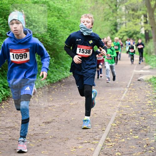 19.04.2026 - Hammer Lauf Dr. Thomas Lammeyer http://msf.ph/oto/9527004 19.04.2026 09:24:55 Laufen 1099, 1538 meine-sportfotos.de