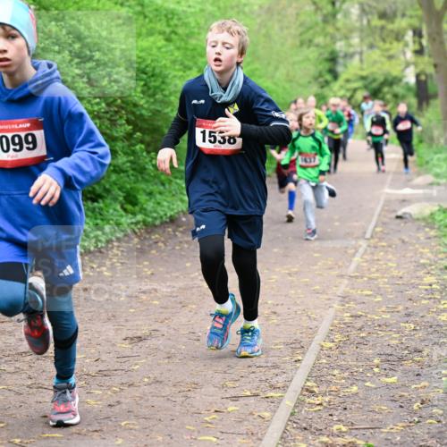 19.04.2026 - Hammer Lauf Dr. Thomas Lammeyer http://msf.ph/oto/9527009 19.04.2026 09:24:55 Laufen 1099, 1538 meine-sportfotos.de