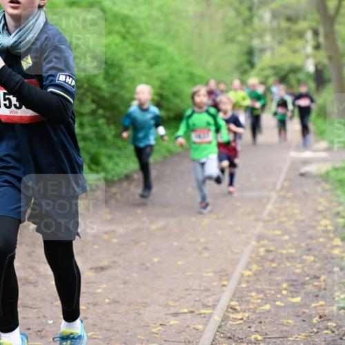 19.04.2026 - Hammer Lauf Dr. Thomas Lammeyer http://msf.ph/oto/9527012 19.04.2026 09:24:56 Laufen 153 meine-sportfotos.de