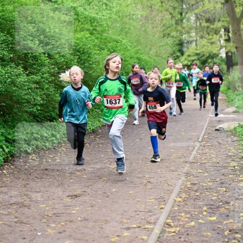 19.04.2026 - Hammer Lauf Dr. Thomas Lammeyer http://msf.ph/oto/9527019 19.04.2026 09:24:57 Laufen 1449, 633, 1915, 1637, 458 meine-sportfotos.de