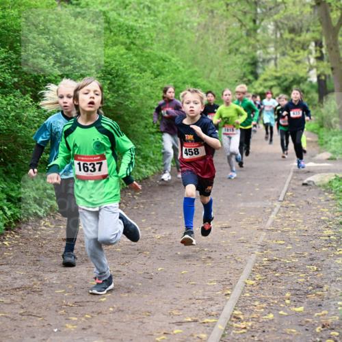 19.04.2026 - Hammer Lauf Dr. Thomas Lammeyer http://msf.ph/oto/9527025 19.04.2026 09:24:57 Laufen 1637, 458, 1915 meine-sportfotos.de