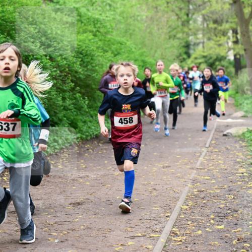 19.04.2026 - Hammer Lauf Dr. Thomas Lammeyer http://msf.ph/oto/9527030 19.04.2026 09:24:58 Laufen 1637, 1445, 458 meine-sportfotos.de