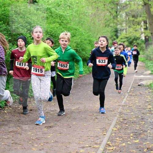 19.04.2026 - Hammer Lauf Dr. Thomas Lammeyer http://msf.ph/oto/9527052 19.04.2026 09:25:00 Laufen 1449, 1811, 1915, 1652, 633, 651 meine-sportfotos.de