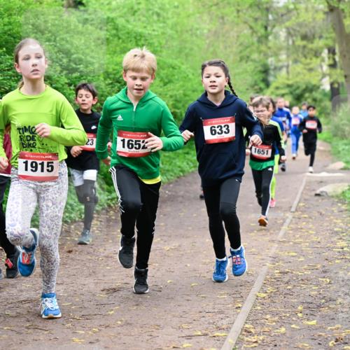 19.04.2026 - Hammer Lauf Dr. Thomas Lammeyer http://msf.ph/oto/9527057 19.04.2026 09:25:00 Laufen 181, 1915, 1652, 633, 1651 meine-sportfotos.de