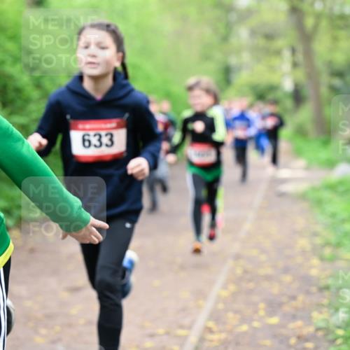 19.04.2026 - Hammer Lauf Dr. Thomas Lammeyer http://msf.ph/oto/9527060 19.04.2026 09:25:01 Laufen 633 meine-sportfotos.de