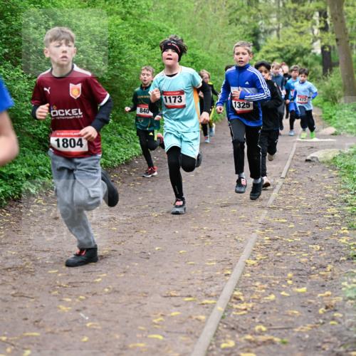 19.04.2026 - Hammer Lauf Dr. Thomas Lammeyer http://msf.ph/oto/9527072 19.04.2026 09:25:03 Laufen 154, 1804, 840, 1173, 1477, 1325 meine-sportfotos.de