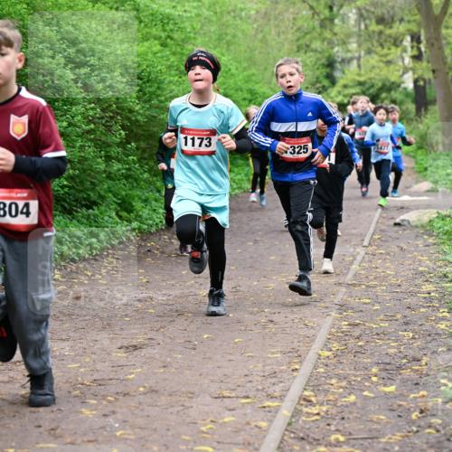 19.04.2026 - Hammer Lauf Dr. Thomas Lammeyer http://msf.ph/oto/9527078 19.04.2026 09:25:04 Laufen 1804, 1173, 325 meine-sportfotos.de