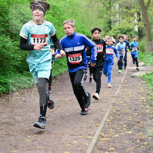 19.04.2026 - Hammer Lauf Dr. Thomas Lammeyer http://msf.ph/oto/9527079 19.04.2026 09:25:04 Laufen 1173, 1325, 891, 1191 meine-sportfotos.de