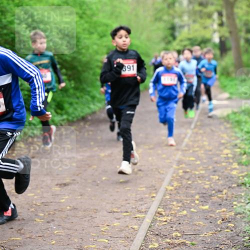 19.04.2026 - Hammer Lauf Dr. Thomas Lammeyer http://msf.ph/oto/9527085 19.04.2026 09:25:05 Laufen 325, 391 meine-sportfotos.de